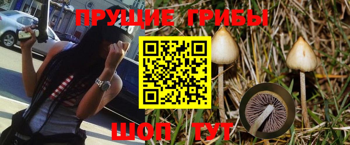 Похвистнево  Галлюциногенные грибы прущие грибы  Псилоцибиновые грибы Psilocybine cubensis  Вход с VPN 