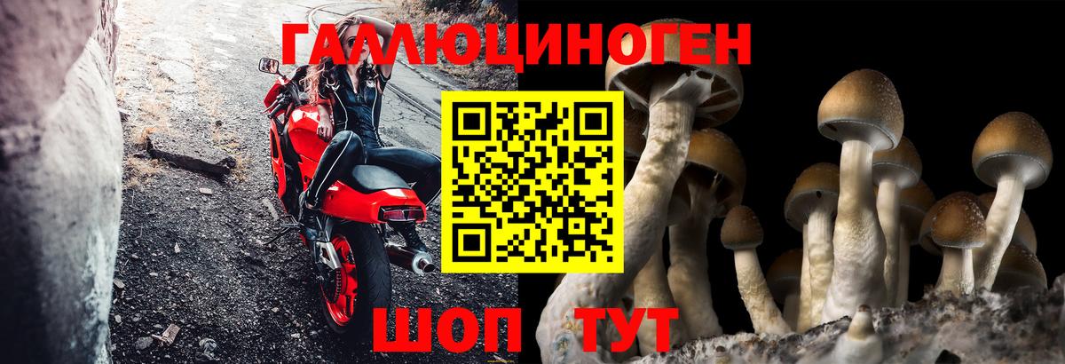 Галлюциногенные грибы прущие грибы Похвистнево